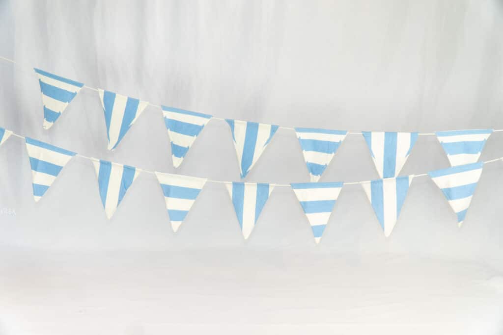 Ice Dancing - Bunting - Fly