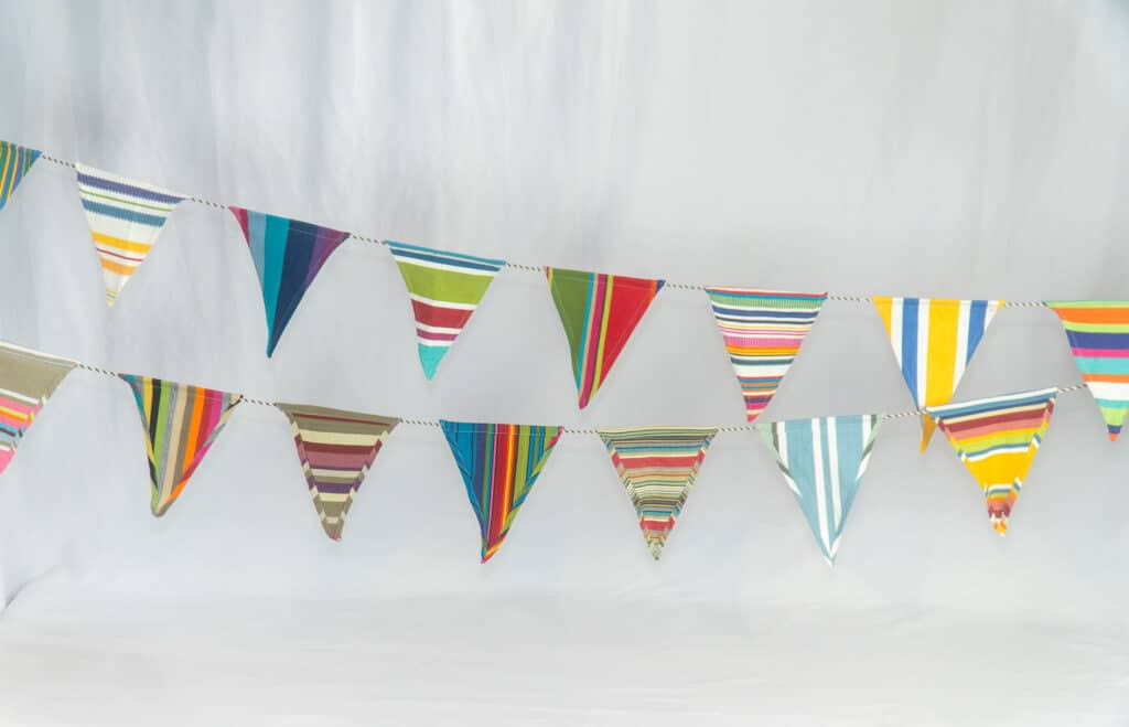 Multi Stripe - Bunting - Fly