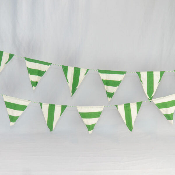 Pole Vault - Bunting - Fly