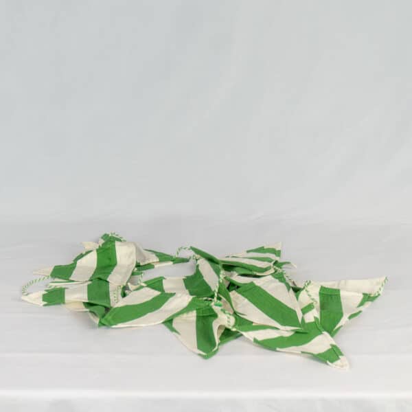 Pole Vault - Bunting - Pile